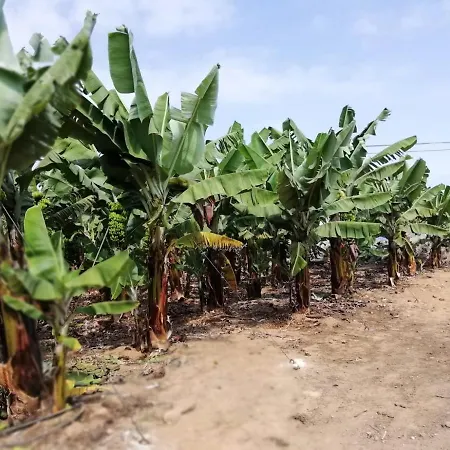 아파트 Charming In Playa San Marcos 45 Sqm With Sea View *