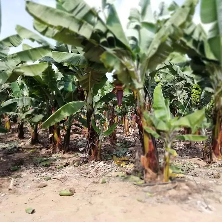 Charming In Playa San Marcos 45 Sqm With Sea View