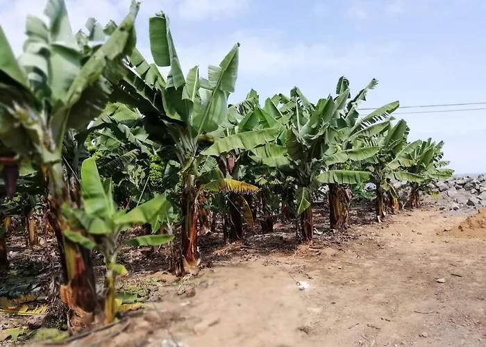 Apartmán Charming In Playa San Marcos 45 Sqm With Sea View *