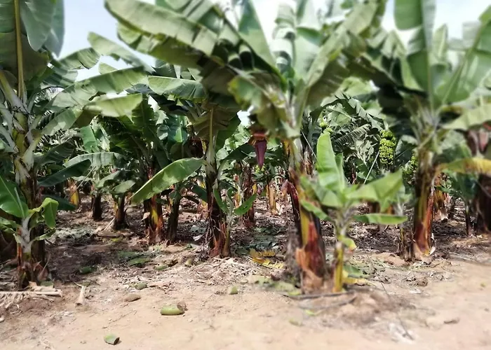 Charming In Playa San Marcos 45 Sqm With Sea View